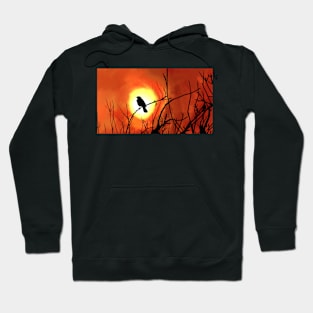 The Last Song Bird Sings to the Fire Dawn Hoodie